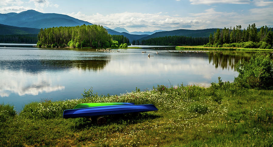 TerryMair's tweet photo. Pelicans at Shadow Mountain Lake, Colorado.
Orders yours today👉 https://t.co/wXhB7u2KxG
#BuyIntoArt #Shadowmountainlake #Colorado #Rockymountainnationalpark #Water #Pelicans #Kayak #Mancave #Mancaveideas #Interdecor #Wallart #Interiordesigners https://t.co/HnochSDVED