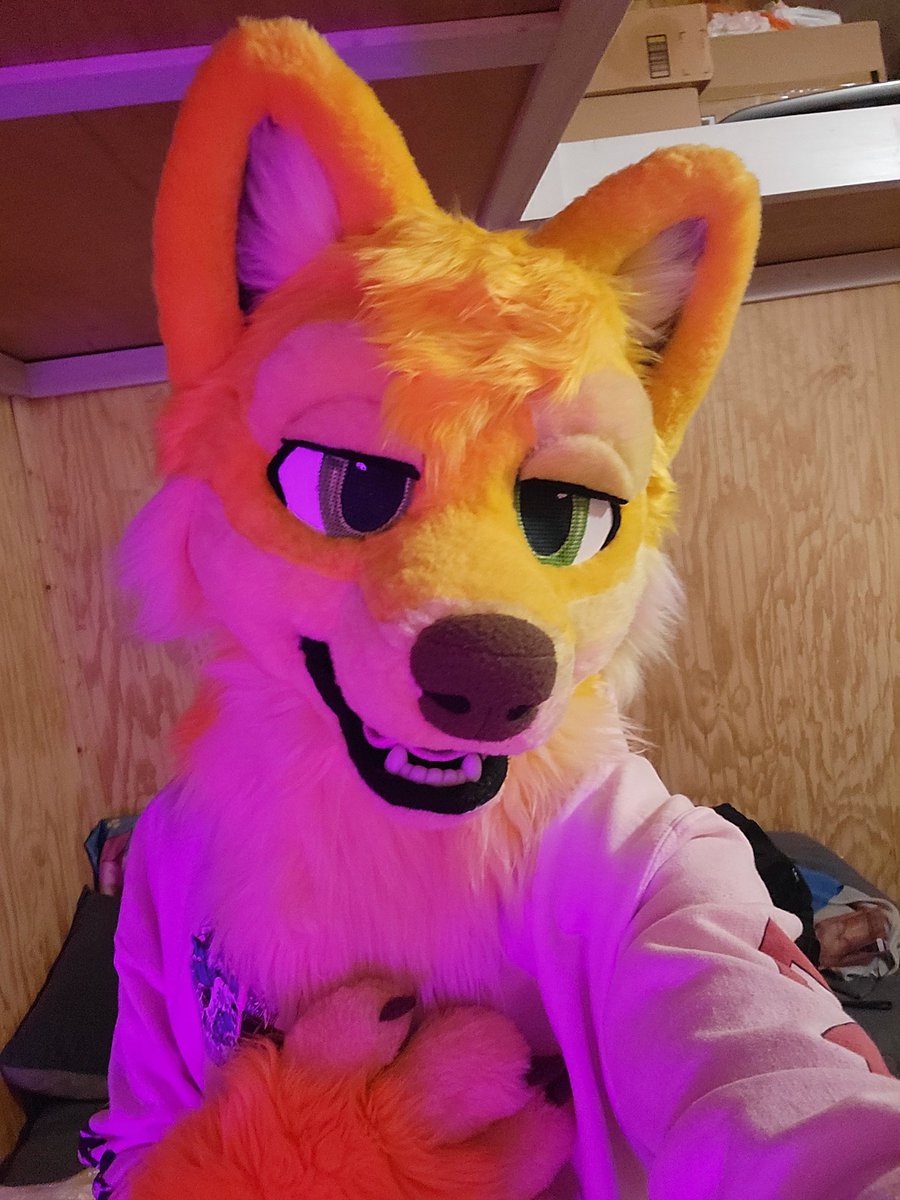 RenThaWolf's tweet photo. Gentle doggo <3 https://t.co/YXe4XrQPmc