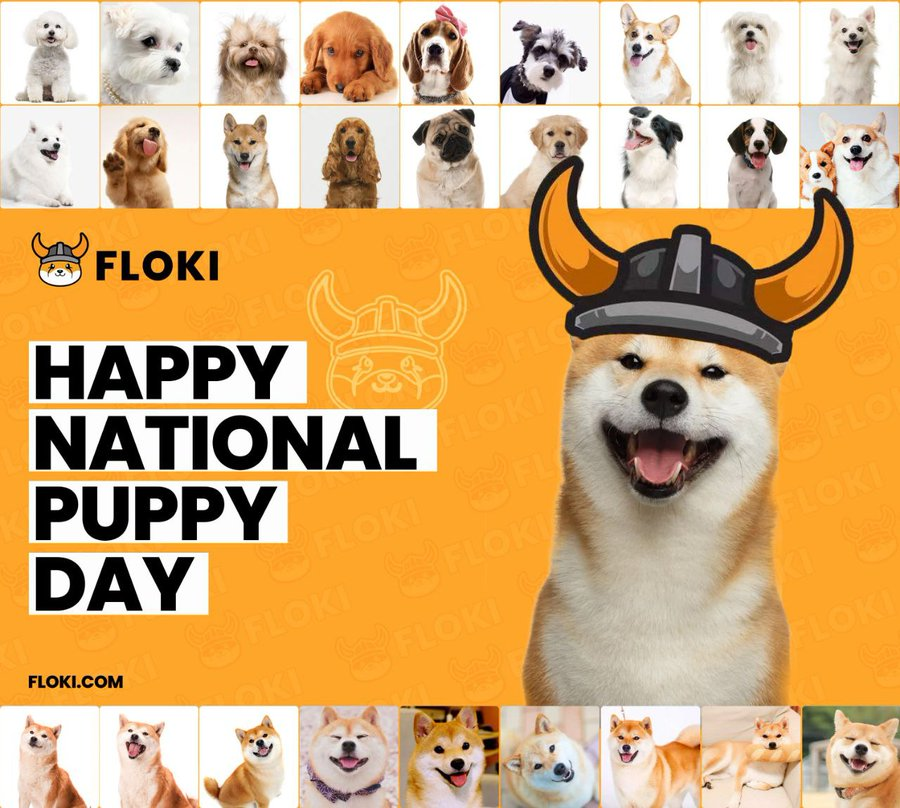 FLOKI's tweet photo. @BinanceUS Happy #NationalPuppyDay from #Floki! https://t.co/5aF3SnOjt7