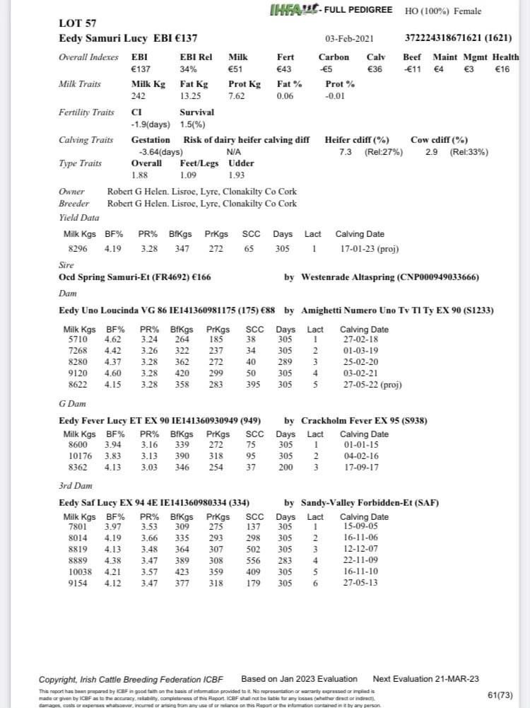 JasonHelen96's tweet photo. Our entries for the CHFC heifer sale in Corrin Mart tomorrow 24th March
Lot 56 - White heifer 32L
Lot 57 - Black heifer 30L
**Export Tested**
@CorkMarts https://t.co/nRFpILPkNE