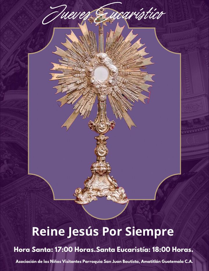 Tradicional Romería tweet media