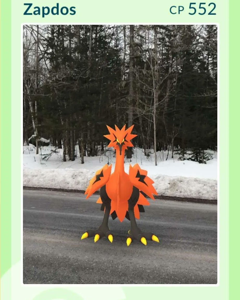 KosmicDruid's tweet photo. Today, I caught my first Galarian birds! The fact it's only a 0.3 percent catch rate and I caught it with a "Nice" throw is unreal. 😱 
#PokemonGo #PokemonGOApp #GalarianZapdos #galarianbird #Pokemon #pokemonrare https://t.co/BiUkAzgAhR