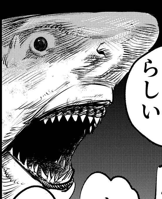 おやすみサメ🦈 