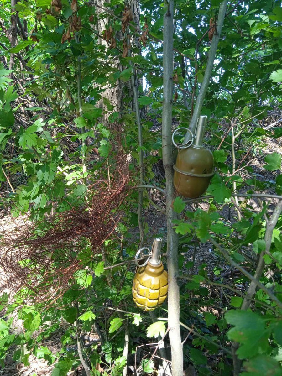 Xaniken's tweet photo. Deer eat lots of my garden every year so they must learn the error of their ways. A lesson is repeated until learned https://t.co/egrsm5Z0VQ