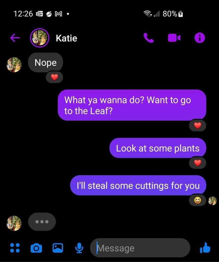 I know how to get her attention. 
#iykyk #plants #crazyplantlady instagr.am/p/CqI83BzNDDM/