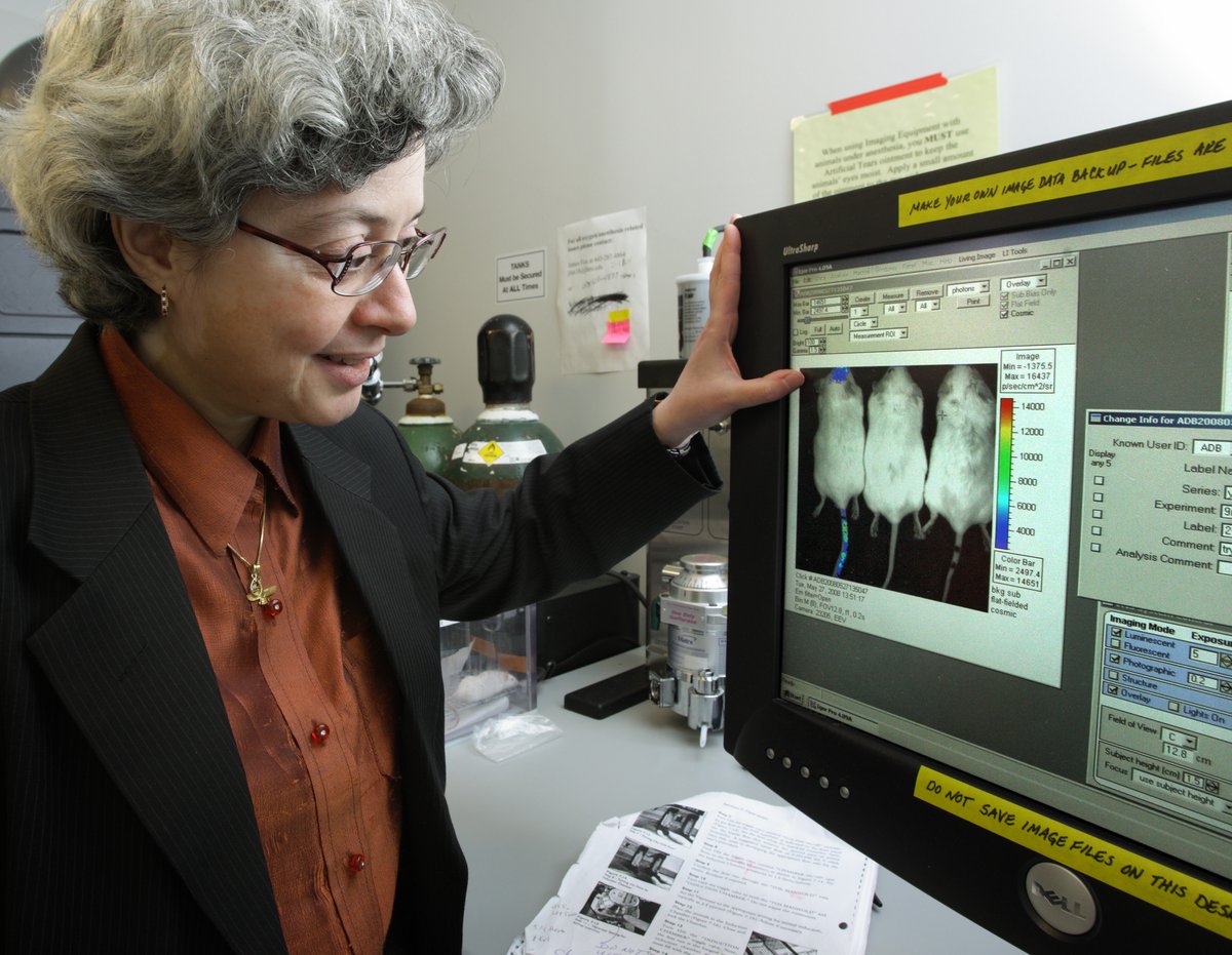 Hopkins_Rad's tweet photo. This #WomensHistoryMonth Month, we are spotlighting female leaders, including Dr. Zaver Bhujwalla, director of the Division of Cancer Imaging Research and Vice-Chair of Research, among many other roles. Bhujwalla is a strong supporter of women advancing in research #WomeninRad. https://t.co/xI7zeCdNhq