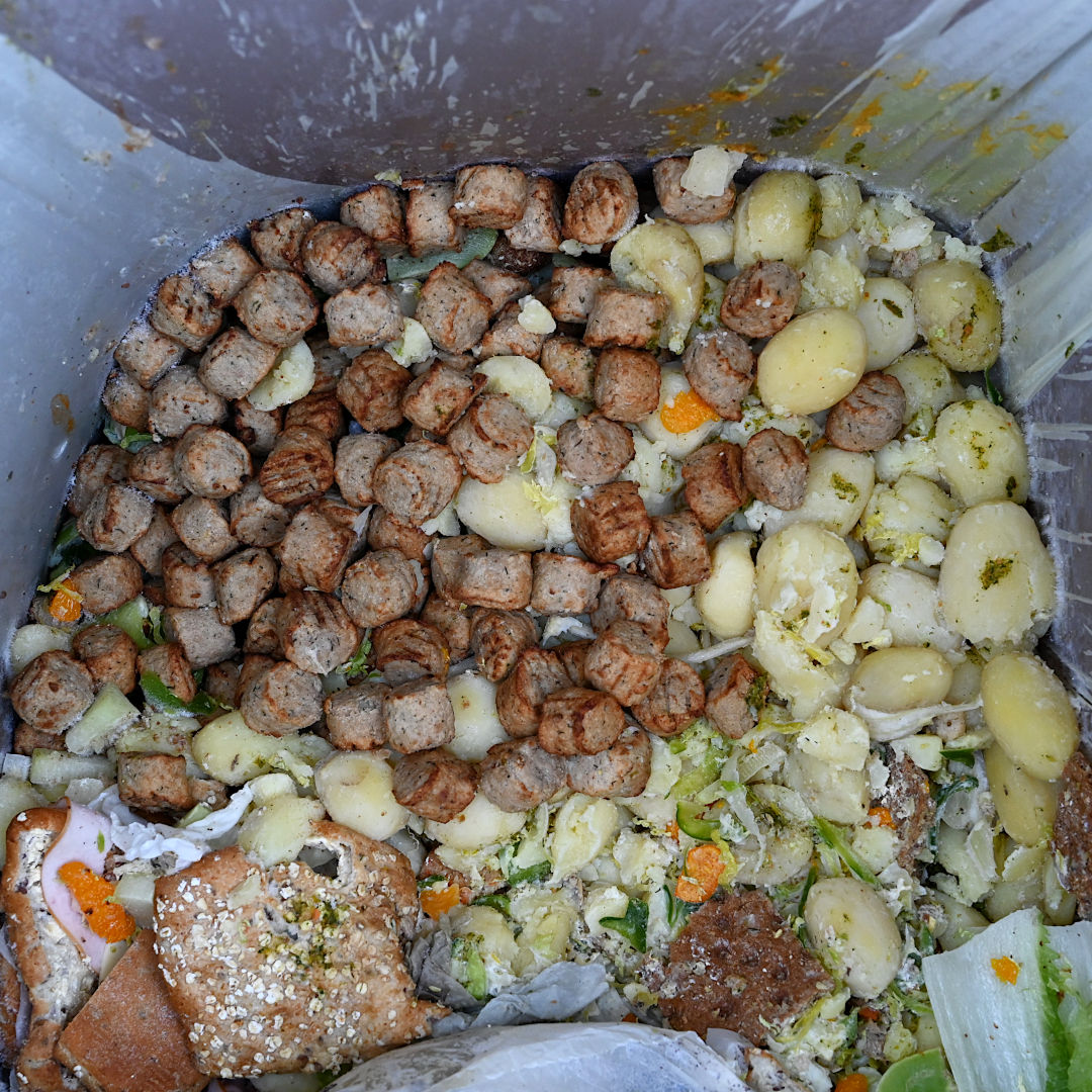 Tongin 15 kiloa päiväkodin jätteitä: 204 lihapullaa, 97 kasvispyörykkää, 111 kalapötköä ja 312 kalapullaa. Helsingissä on yli 300 päiväkotia. Ruokaa ei voi antaa järjestöille elintarvikehygieenisistä syistä, hakijoille turvallisuussyistä eikä työntekijöille tasa-arvosyistä. (1/3)