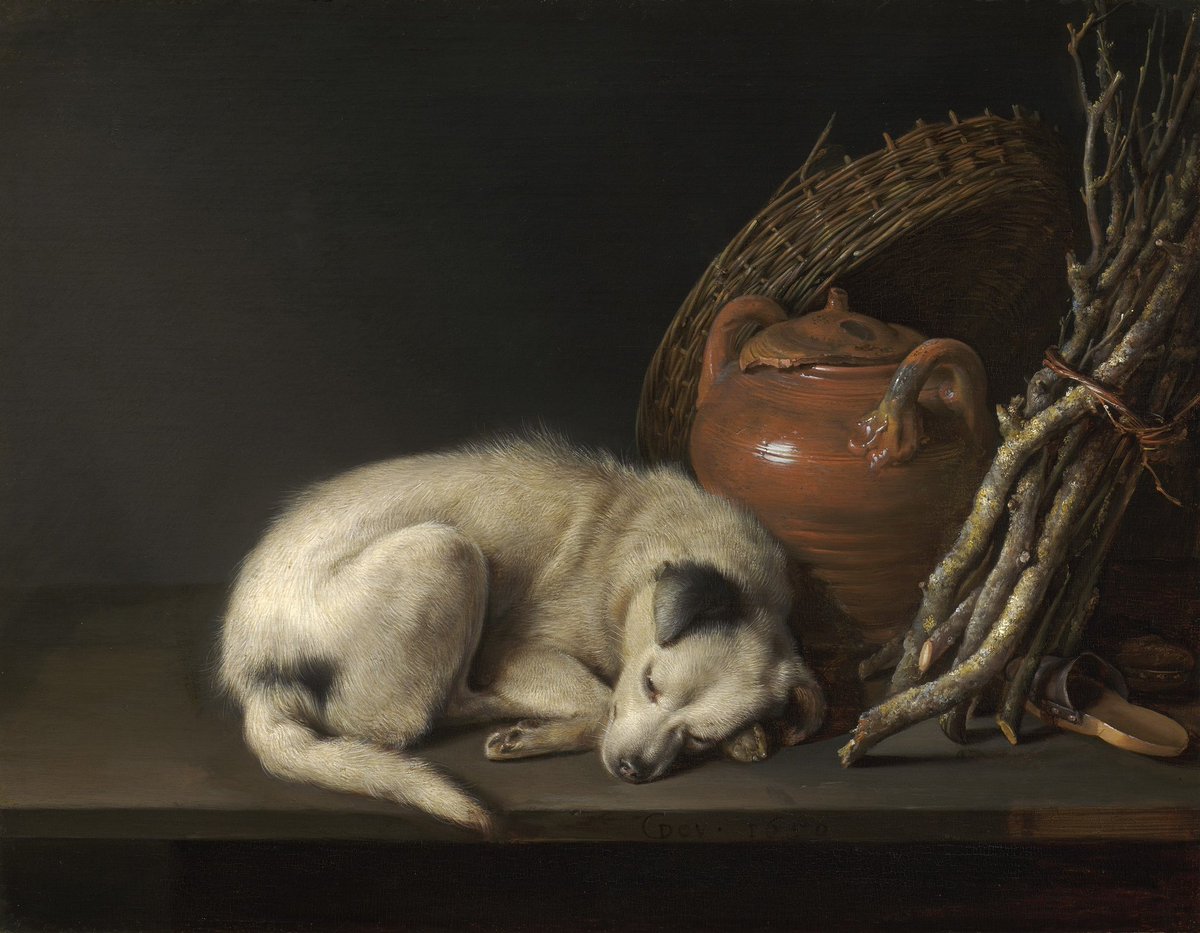 DailyArtApp's tweet photo. 🐶 Happy National Puppy Day!
#AdoptDontShop ❤️

🎨🐶:
Dog at Rest by Gerrit Dou 1650 
Dog with a Biscuit and a Chinese Cup by Giovanna Garzoni 1640s
Dogs Playing Poker, by Cassius Marcellus Coolidge,1894
Siegfried by Thomas Theodor Heine 1921 https://t.co/AQ93Ll71CJ
