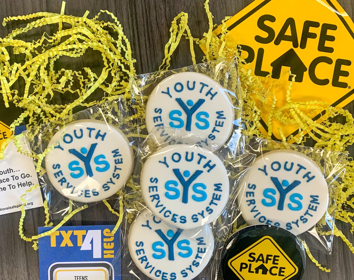 Youth Services System tweet media