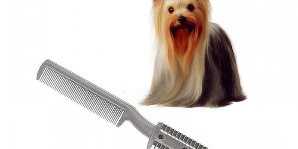 Herpetscom's tweet photo. Professional Dog Brush https://t.co/jImecKQr2u 

#shoppingonline #yocollection

💫https://t.co/jImecKQr2u https://t.co/Rz9jXGzenT