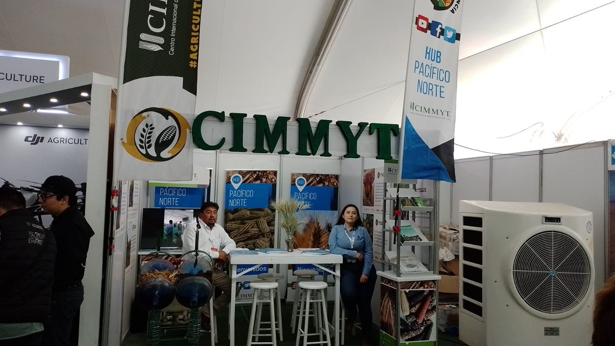 Hub_PACNorte's tweet photo. #CIMMYT #HubPac visítanos en en nuestro stand en @ExpoceresAgroinnovación Mochis Sinaloa. 🌱🌾 https://t.co/zCAXnKxsNM