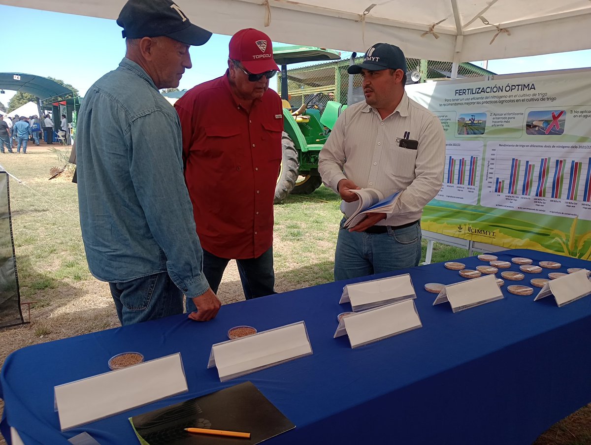 Hub_PACNorte's tweet photo. Visita nuestro stand #CIMMYT #HubPac Día del agricultor 2023. https://t.co/kZvHQ4OD6X
