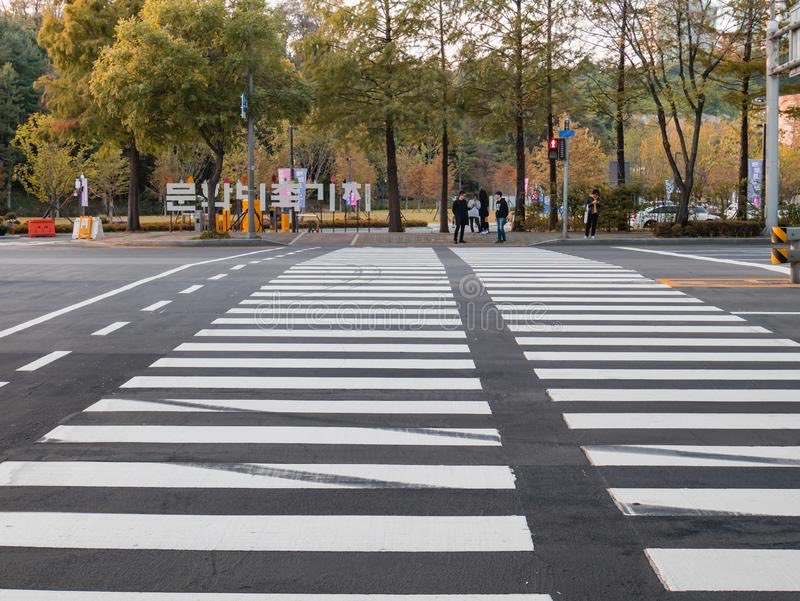 You saw the zebra loose in Seoul story, right? abc.net.au/news/2023-03-2…
You probably didn’t see this picture - it’s so perfectly camouflaged! Nature is so clever!