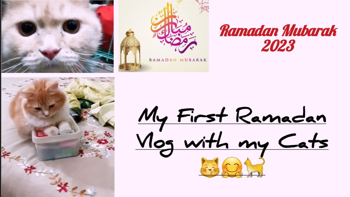 My first Ramadan vlog with cats 👉 google.com/search?q=my+fi…

#RamadanMubarak2023 #Ramadan2023 #ramadanvlog #Ramadan #RamadanKareem