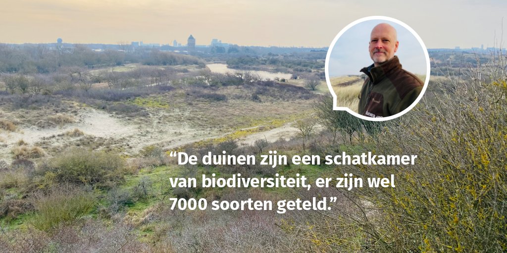 "Biodiversiteit is ontzettend belangrijk. Alles heeft met elkaar te maken en het verlies van een klein schakeltje kan grote gevolgen hebben." Maarten Werink, ecoloog bij Dunea, vertelt over zijn werk in onze duingebieden op: dunea.nl/duinen/duinver…. #Duinverhalen