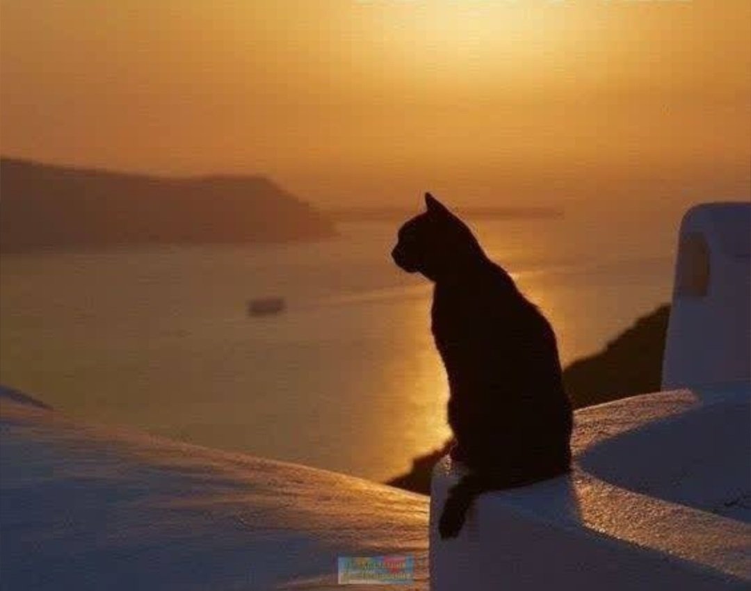 Vilma_art's tweet photo. Have a good rest https://t.co/gKkTase5Up