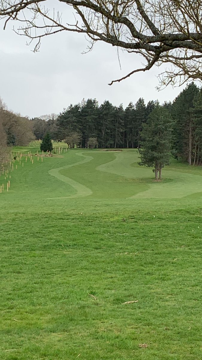 The Millbrook Golf Club tweet media