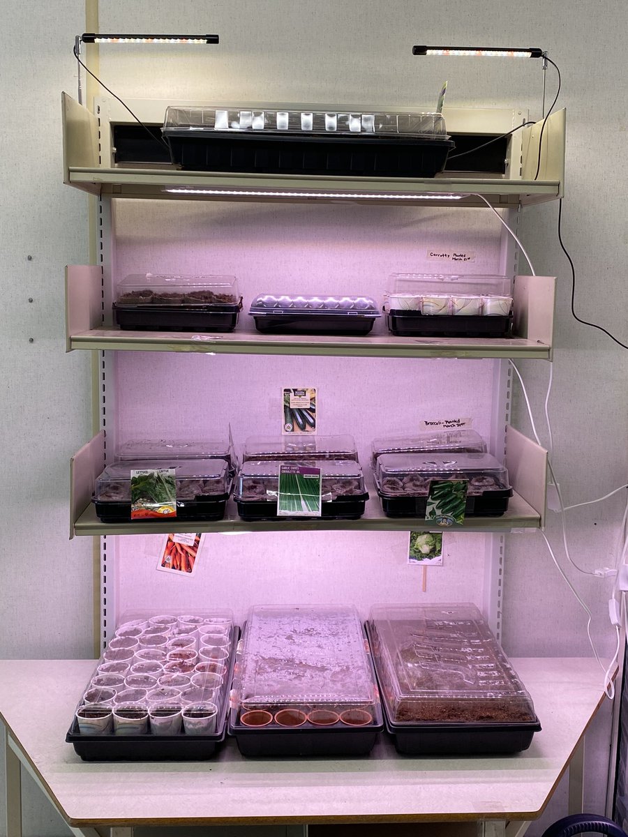 Meghan Stevens-Legault tweet media