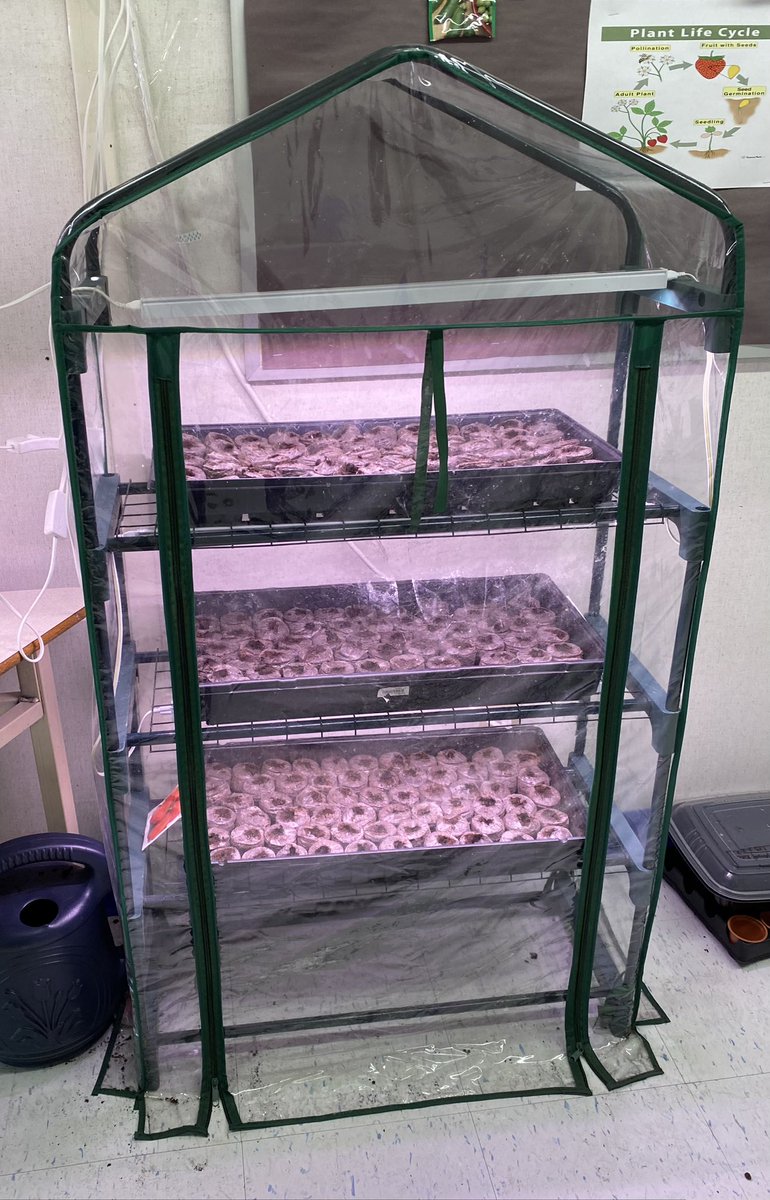 Meghan Stevens-Legault tweet media