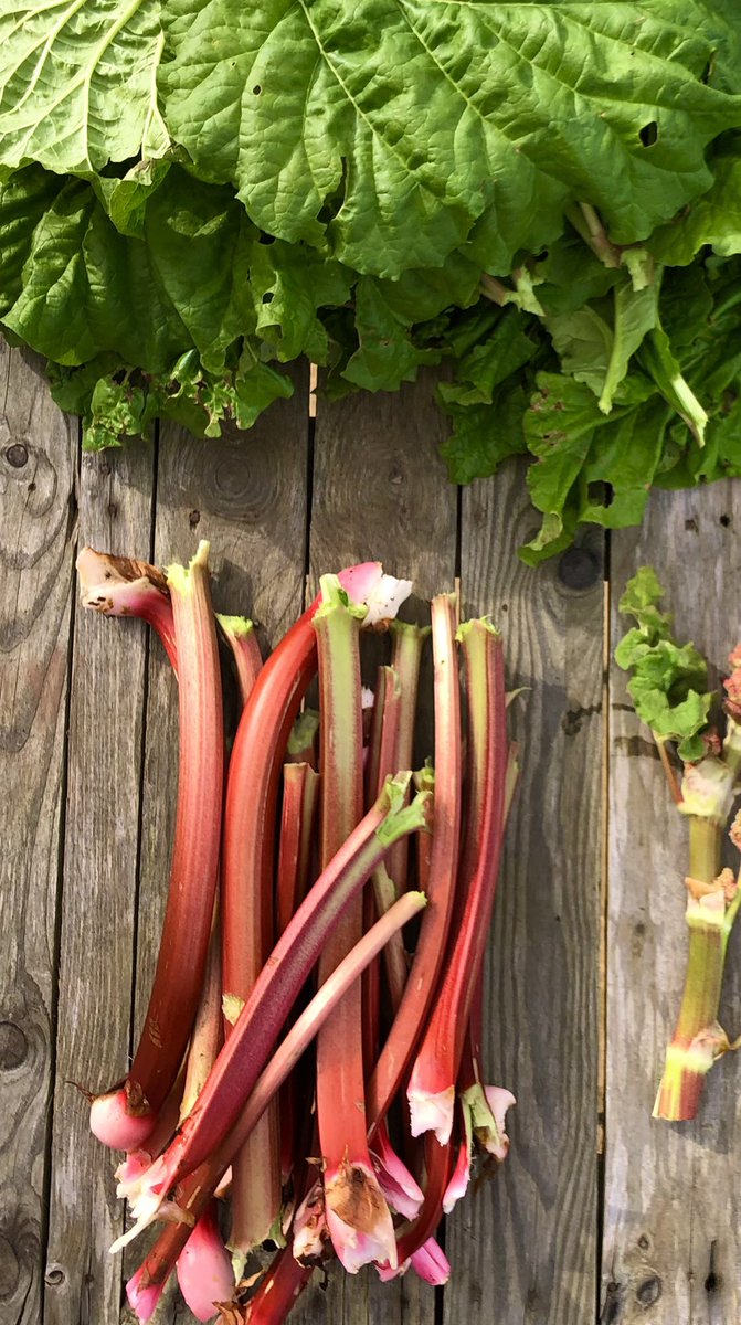 Simon Akeroyd tweet media