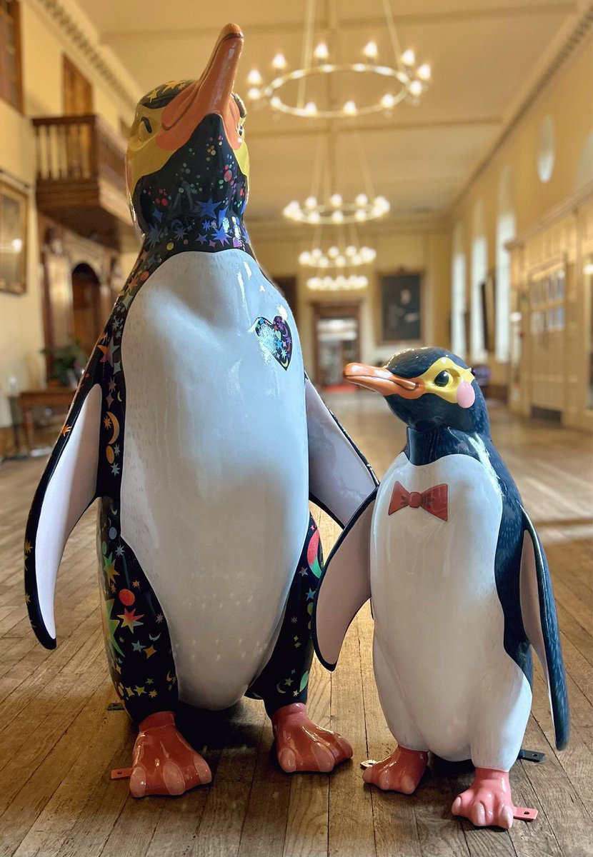 Here they are! Meet two of the beautiful penguins joining us for the great #WaddleOfWorcester in the summer of 2024!
 
They are yellow-eyed penguins and are called Spirit (large penguin) and Hoiho (our chick). They’ve been painted by the talented <a href="/JessPerrin1/">Jess Perrin</a> 🐧🐧