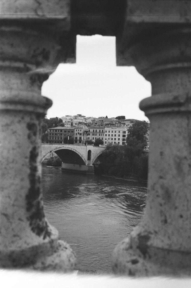 TheChrisHau's tweet photo. The Camera VS. Photos | Olympus + B&amp;W Film. https://t.co/r2EUyLQ467