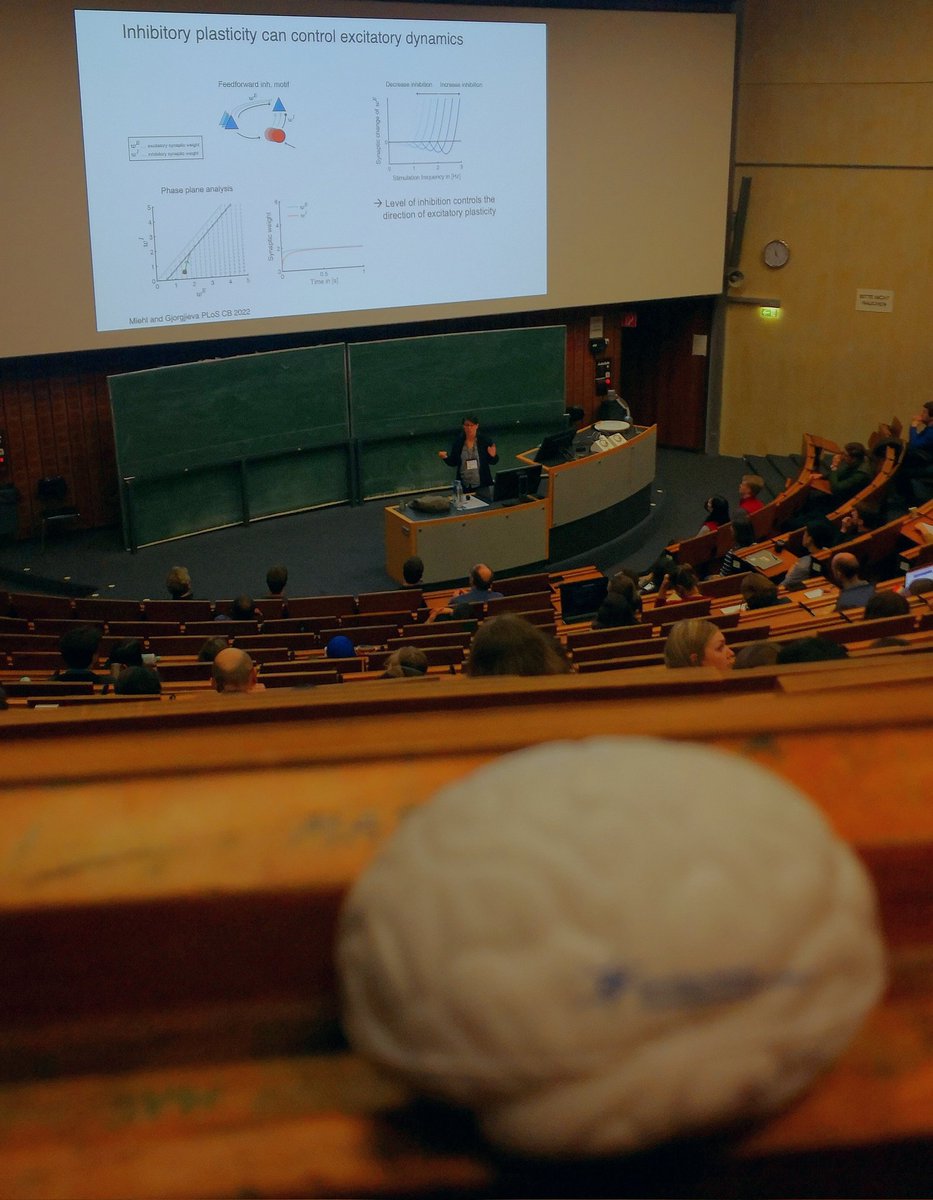 JacobLCar's tweet image. Understanding neuronal networks and plasticity from mathematical models, great talk from @GjorJulijana and others with a focus on excitation and inhibition. @NeuroforumNWG #GoeMe23