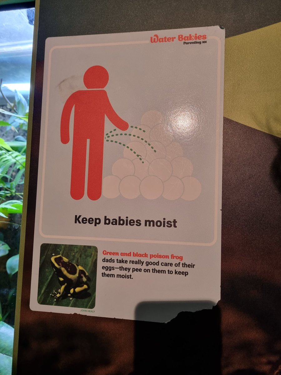 Parenting tips courtesy of the amphibians at Vancouver Aquarium