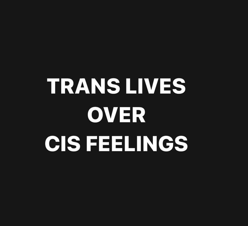 c l a r a . ( they/she ). 🏳️‍⚧️📚🐍 (@clarabelleisgay) on Twitter photo 