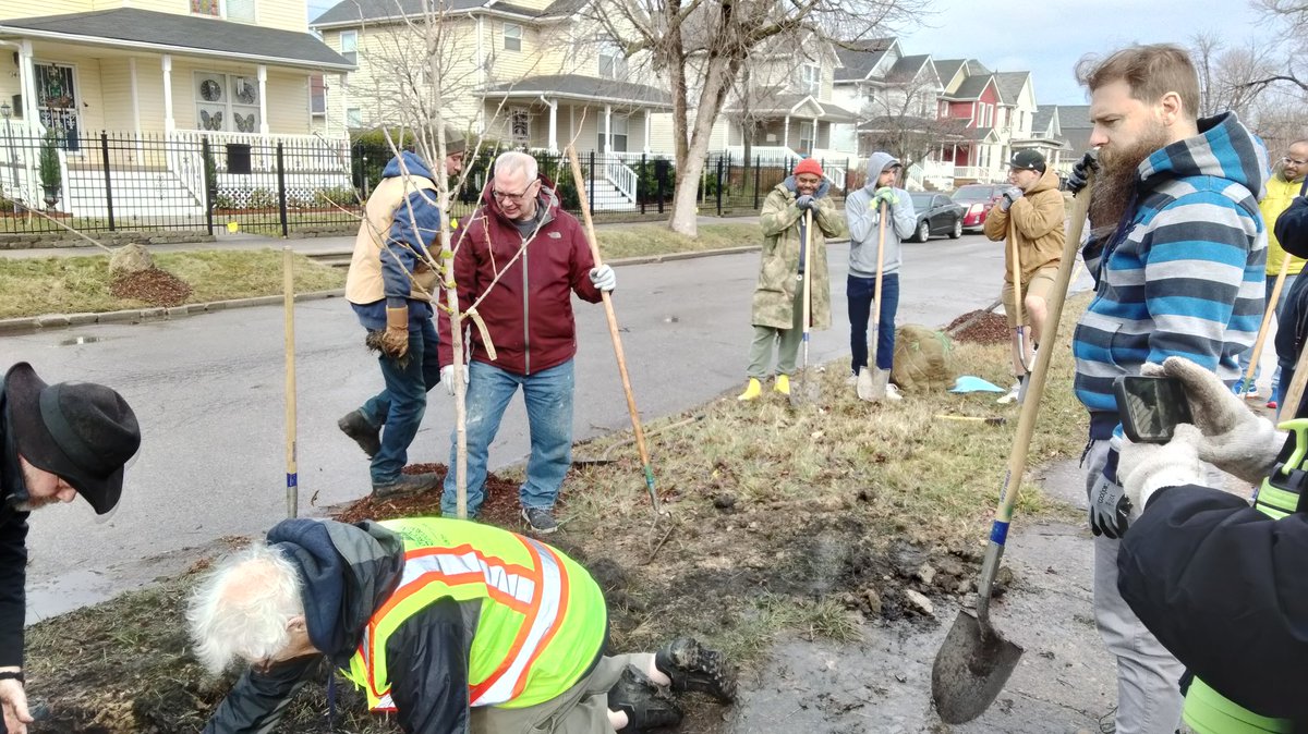 DetroitJCS's tweet photo. Thank you @GreeningDetroit for the #birdhouses...AKA trees 😂
#treeplanting #community #detroit #beautifuldetroit #sylvatica #latinnames #trees #dirt #mulch #digging the birds are already scoping out the new digs! https://t.co/yXeV2AzJ80