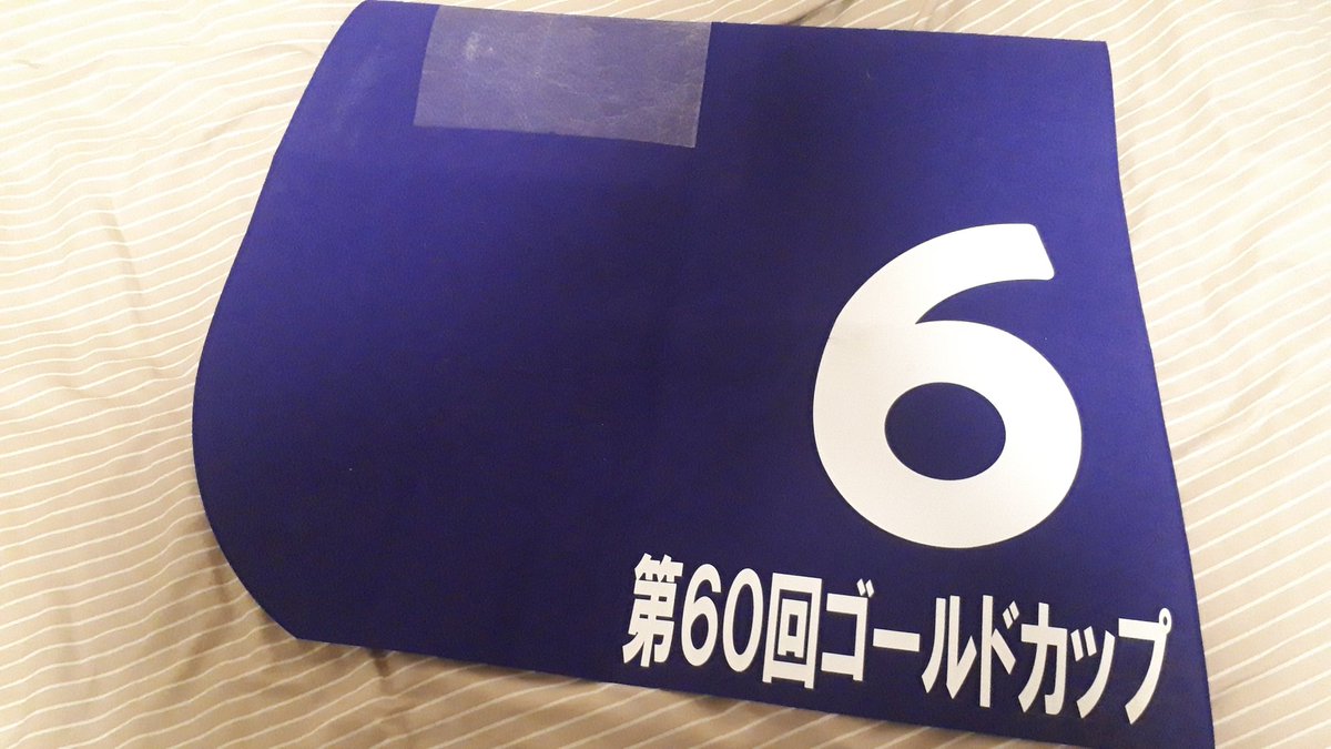 実使用ゼッケン