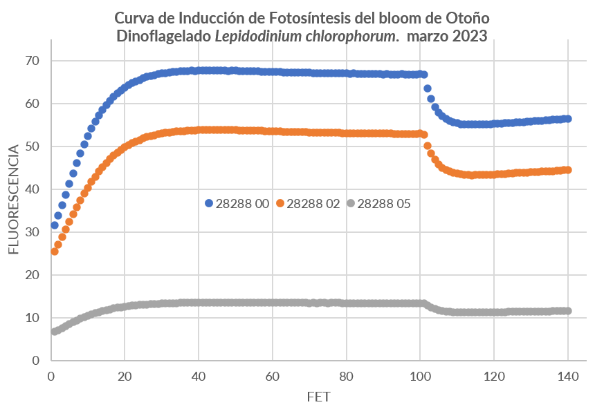 plancton_andino's tweet photo. Altos niveles de #Fluorescencia (Fo,Fm) en superficie del dinoflagelado verde simbióntico de aguas del sur de Chile. En inicios del #bloom se observó > abundancia celular en aguas + profundas. También se han registrado capas finas #FANINDEX #PSMB #HAB #poas #ford #thinlayer #frrf https://t.co/GeQ587Bww3