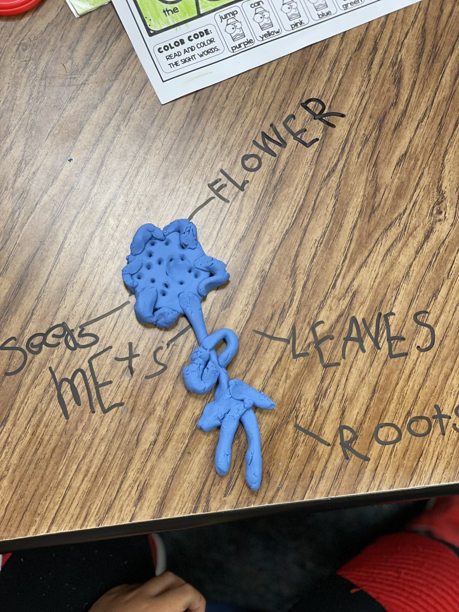TaylorLakin1's tweet image. Playdoh is always a good idea!! Making a flower &amp;amp; labeling its parts for Science. 🌻🌺 #kindermagic @KaiserKISD @KleinISD @trisqit