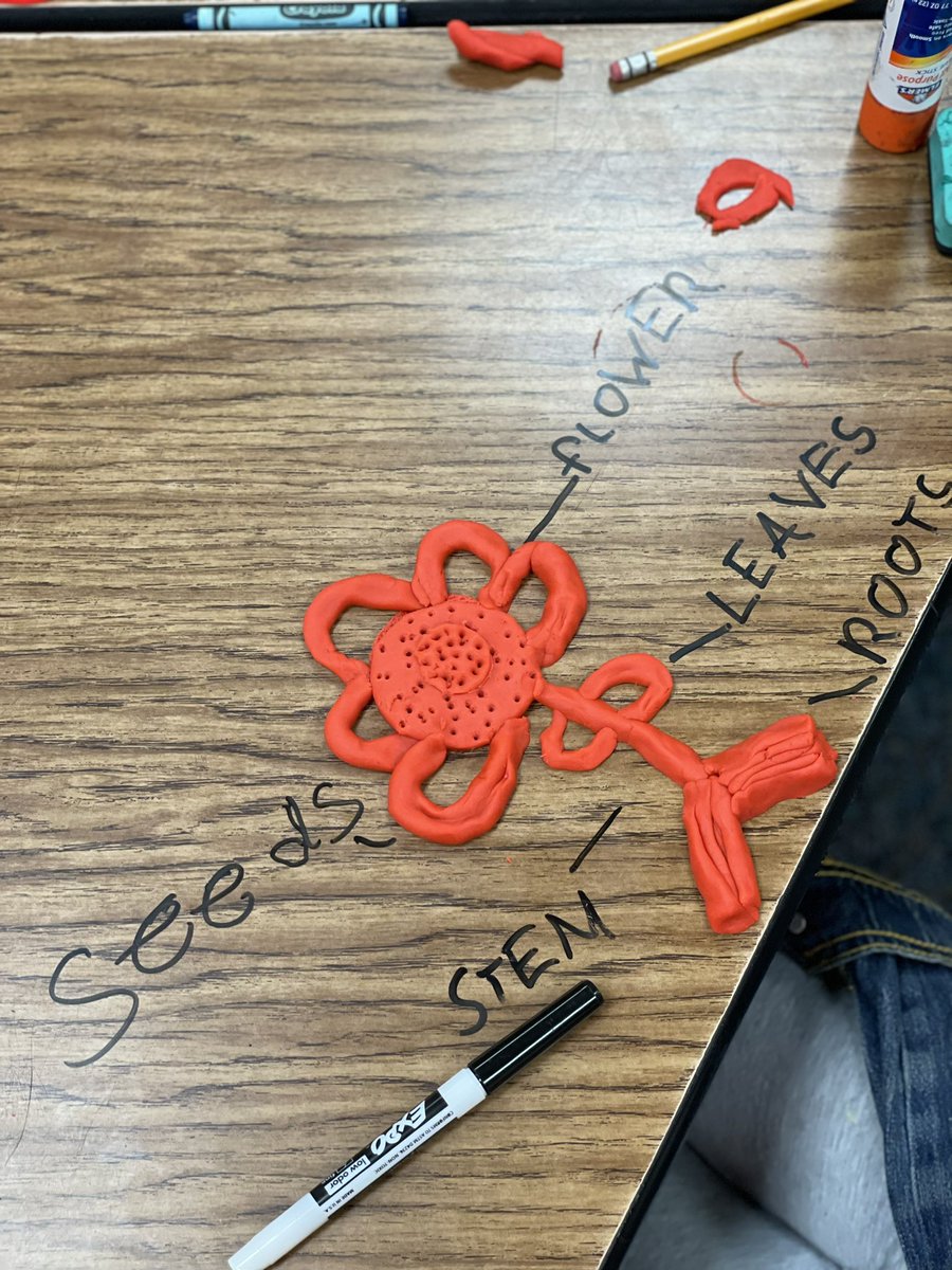 TaylorLakin1's tweet image. Playdoh is always a good idea!! Making a flower &amp;amp; labeling its parts for Science. 🌻🌺 #kindermagic @KaiserKISD @KleinISD @trisqit