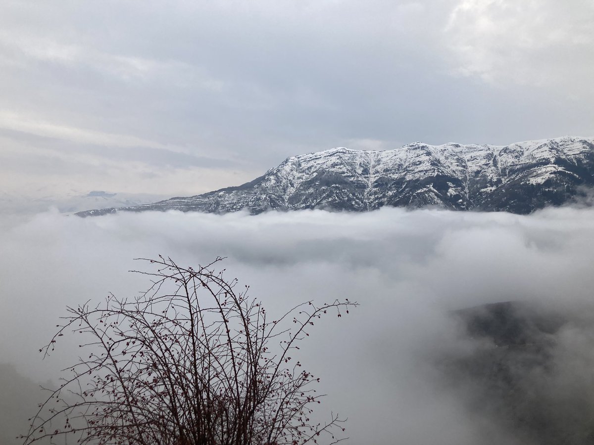 Salih Zeki Çetinkaya (@salih_ak_25) on Twitter photo 