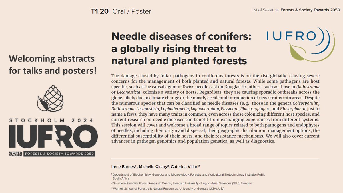 IUFRO Division 7 Forest Health (@iufrodivision7) on Twitter photo This week’s # IUFRO2024 ✨#SessionHighlight ✨is about session T1.20 #NeedleDiseases of #conifers🌲: a globally rising threat to natural and planted #forests moderated by <a href="/IreneBarnes19/">Irene Barnes</a>, Michelle Cleary and Caterina Villari
iufro2024.com This week’s # IUFRO2024 ✨#SessionHighlight ✨is about session T1.20 #NeedleDiseases of #conifers🌲: a globally rising threat to natural and planted #forests moderated by <a href="/IreneBarnes19/">Irene Barnes</a>, Michelle Cleary and Caterina Villari
iufro2024.com