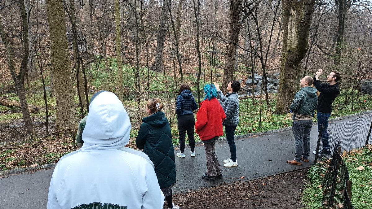 Florian Krammer tweet media