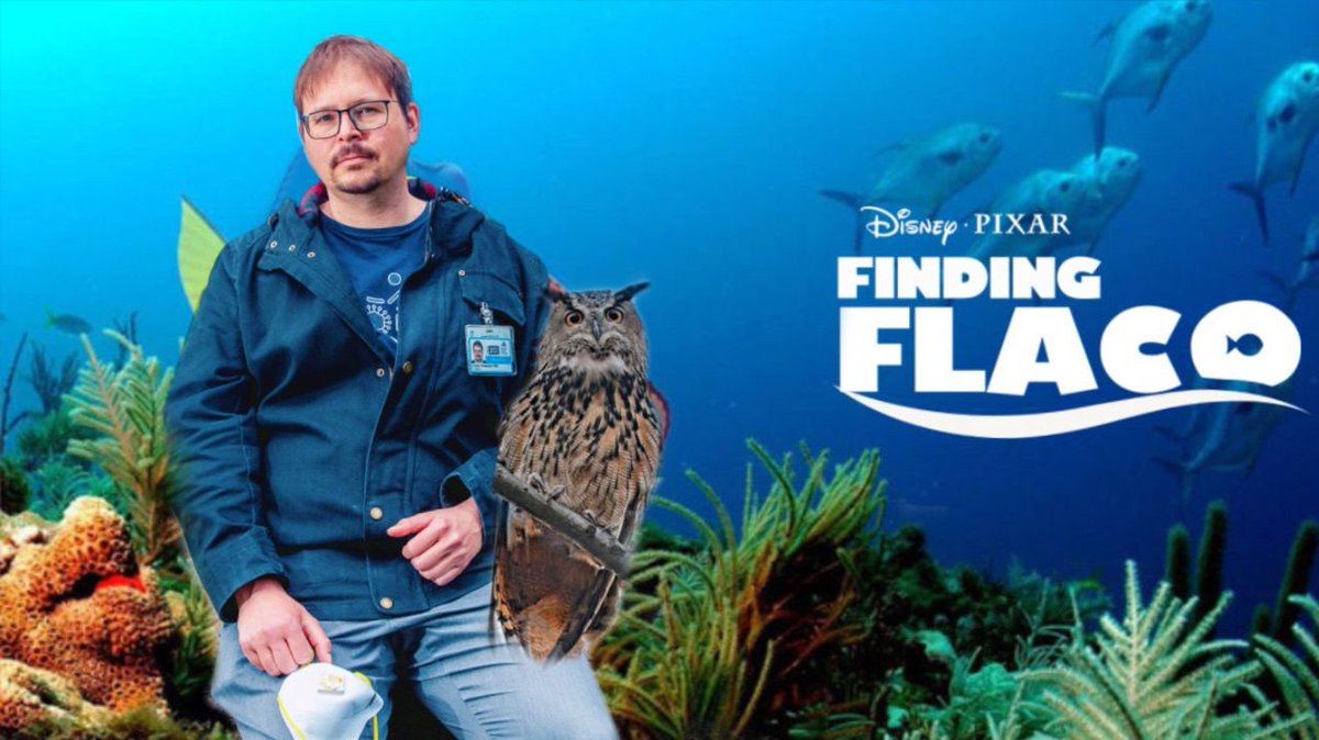 Florian Krammer tweet media