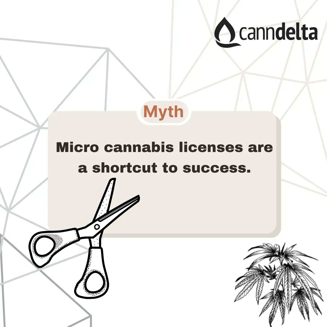 CannDelta's tweet photo. 🌿 Micro-licenses are a shortcut to success. ❌ Fact: While micro-licenses have lower barriers to entry, they still require careful planning, compliance, and business strategy to succeed. Don't underestimate the work and dedication needed. #CannabisMythbusters #Microlicense https://t.co/A3i0Q2lxwr