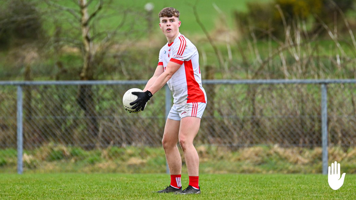 Tyrone GAA tweet media