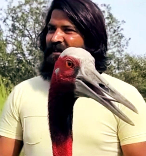 ValandiV's tweet photo. अगर कोई जानवर जो  खुशी से इंसान के साथ रह रहा है या किसी से कोई नुकसान नहीं उठा रहा है यह एक अपराध है अगर आरिफ ने जानबूझकर इस पक्षी को खरीदा तो उसने पक्षी के लिए अपनी इंसानियत दिखाई।सरकार को उन पर आरोप लगाने के बजाय उन पर गर्व महसूस करना चाहिए HELP 🙏🌼
#return_saras_to_arif https://t.co/QrTl7QP7l8