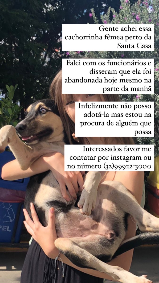 giozinhag's tweet photo. quem puder ajudar retweetando ficarei mt agradecida ❤️❤️ https://t.co/qvHphEgPj1