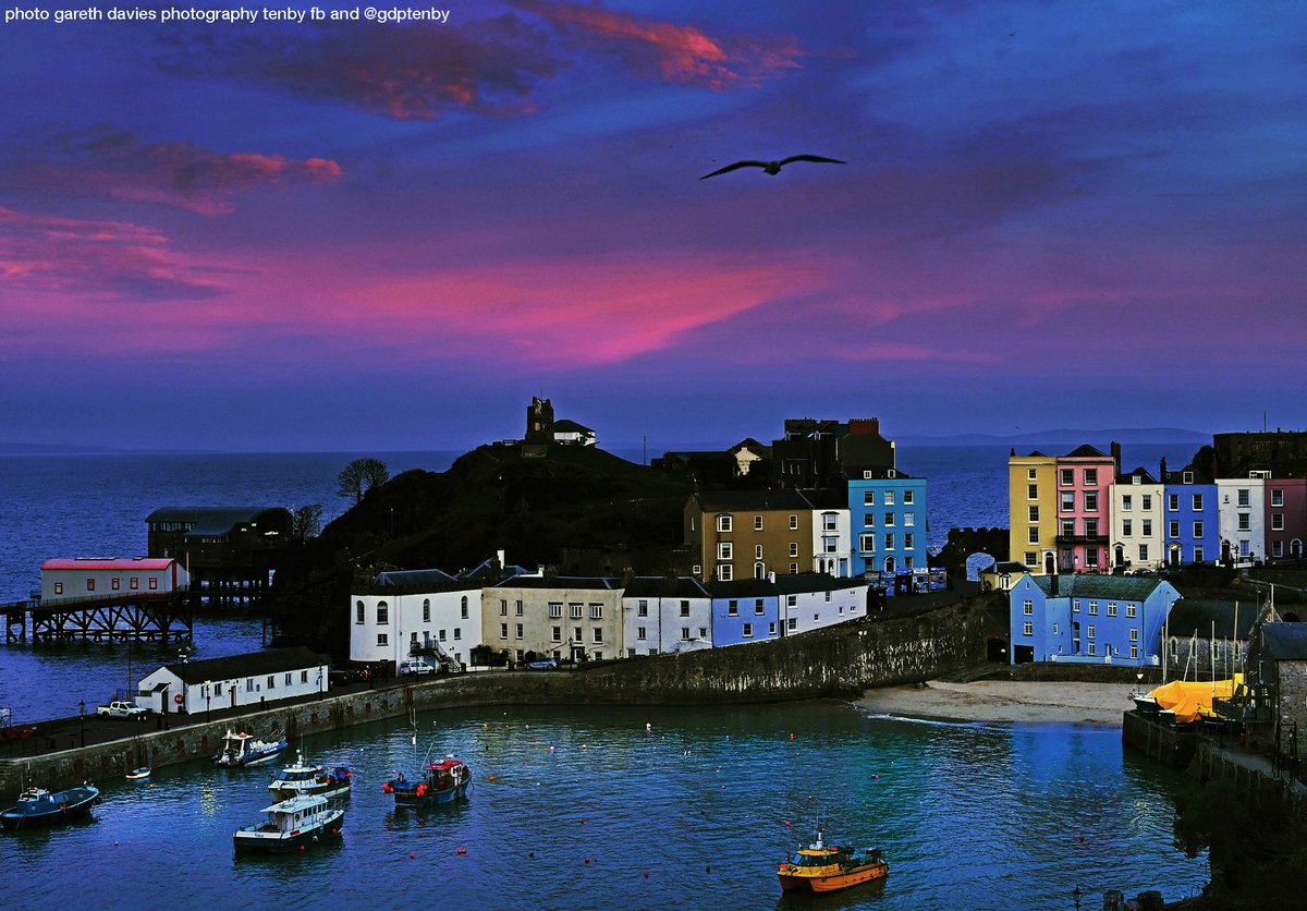 a mighty gull in a vision of cosmic beauty
reverence and peace
*Tenby on twilight in the far West of Wales
<a href="/GDPTenby/">Gareth Davies Photography Tenby</a> photo
<a href="/ThePhotoHour/">#ThePhotoHour</a> <a href="/ItsYourWales/">It's Your Wales</a> <a href="/S4Ctywydd/">S4C Tywydd</a> <a href="/Ruth_ITV/">Ruth_TV</a> @Lewis23Mj <a href="/tenbyobserver/">Tenby Observer</a>