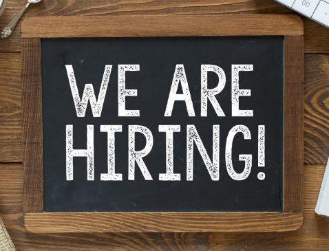 LockedInLucas's tweet photo. Looking for a JOB? 

Mods, CM, Artist, Advisor, etc.

Drop CV, Follow &amp; Retweet 👇❗️ https://t.co/V2JehQykGD