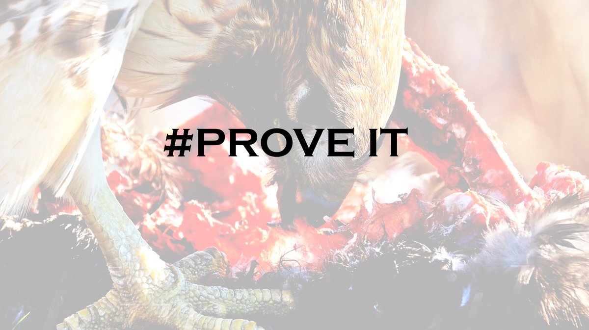 CoachDanHunt's tweet photo. What a great chance to #ProveIt. #BGAP https://t.co/GJ9385blXg
