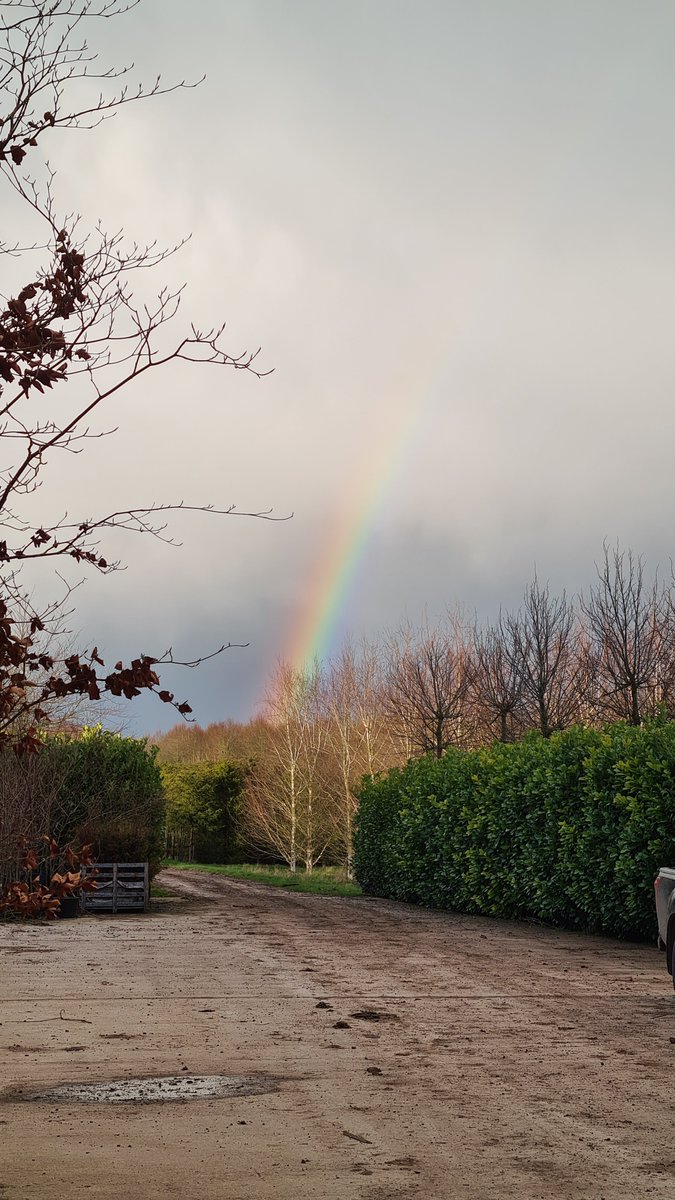 IrishTreeCentre's tweet photo. #Rainbow over the Irish Tree Centre this week and planting itself in the midst of the trees.... truely a treasure indeed

We are delivering trees nationwide
#Dublin, #Belfast #Galway #Cork #Wexford #donegal 

#trees #spring https://t.co/9bg2CY6XrJ