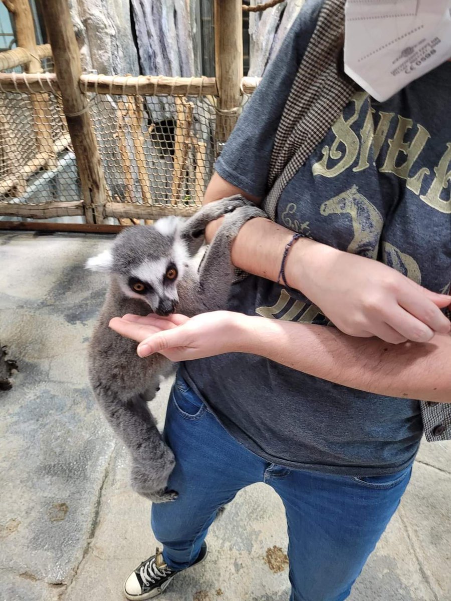 War zu Besuch bei den Kattas. 🥰