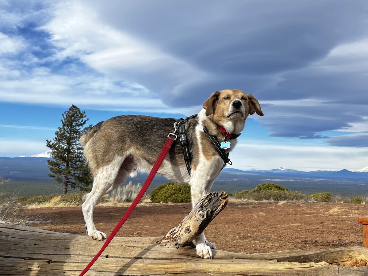 EPHamilton tweet media