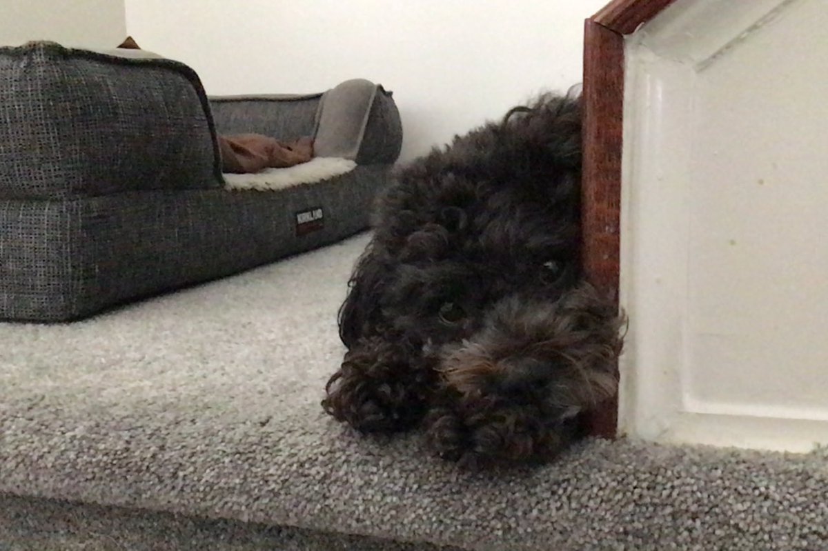 Jeanne-Marie Wilson 👑💅🏼💕 tweet media