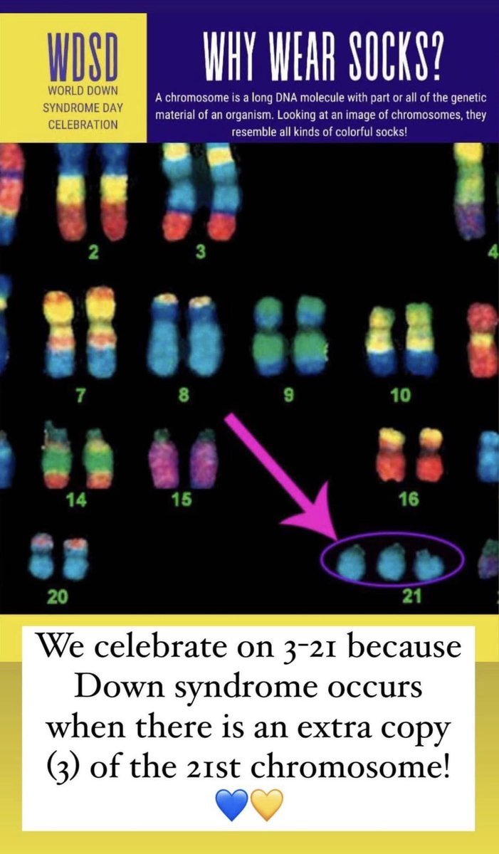 LWeaver02's tweet photo. What a perfect week to discuss diversity as Tuesday was #worlddownsyndromeday!
We learned in seminar about how to make our classrooms more inclusive! I plan on using diverse posters and texts to make my classroom more inclusive 👫
@DrMargarella @WKUSTE  @CEPTatWKU @DrakesCreekMS https://t.co/g5ujxrSi4B